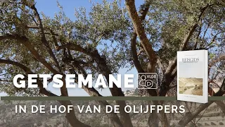 Getsemane | In de hof van de olijfpers