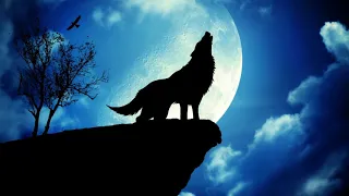 Wolf Howling Ringtone | Free Ringtones Download