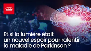 Et si la lumière était un nouvel espoir pour ralentir la maladie de Parkinson ?