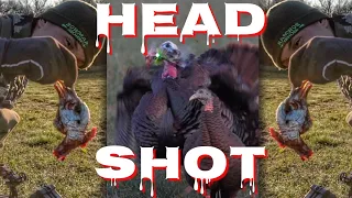 INSANE TURKEY DECAP W/ BOW 💀💀