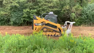 Clearing out some Honey Locust trees