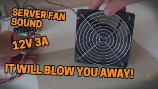 Server fan sound 120mm 12V 3A 200cfm loud high airflow DELTA AFC1212DE