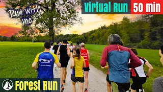 Forest Run 🇨🇭 Switzerland Wonderland | Virtual Run #115