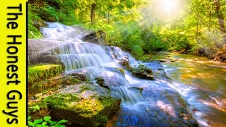 8 HOURS Relaxing Nature Sounds-Sleep-Study-Meditation-Spa Water Sounds Bird Song