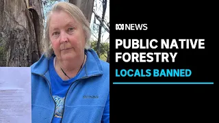 Nineteen Tasmanians banned from public native forestry estate after logging protests | ABC News