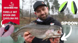 Neues zum FORELLE angeln im WINTER mit SPOON und Carolina Rig | Tipps und Tricks zum Forellenangeln