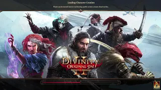 Divinity Original Sin 2 - Starting With 2+ characters