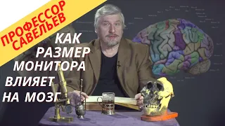 Какой размер монитора выбрать.