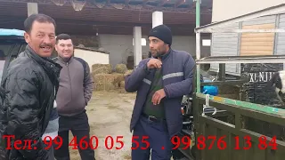 мол бозор нархлар 26.03.2024 мол бозор нархлари buqalar g'unojinlar simental sigir mol bozor пул