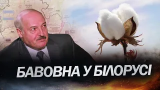 Що вибухало у БІЛОРУСІ? / Медведєв знову істерить / Атака дронами посилиться?