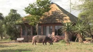 Tshukudu Game Lodge, Hoedspruit - South Africa Travel Channel 24