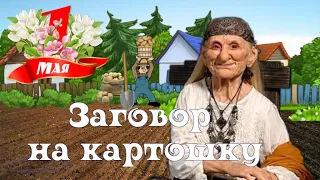 🌸 1 Мая! 🌸 Заговор на картошку от бабушки Ефимии. Прикольное поздравление с 1 Мая! С Днем Труда!