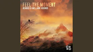 Feel The Moment (Radio Edit)