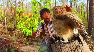 Good video A man is surprised to see an owl.#bird #eagle #beautiful #eggs ❤️❤️❤️