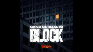 SHINO030 - Ganz normal im Block (Official Video) REUPLOAD