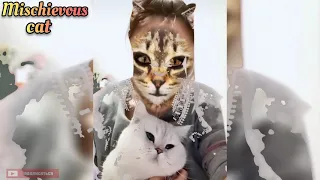 Реакция котов на маску 😹 Cats ' reaction to the mask | FullHD