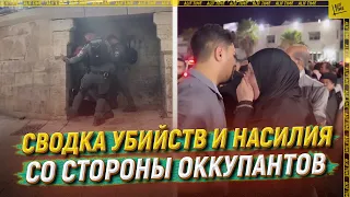 Сводка убийств и насилия со стороны оккупантов [ENG SUB]