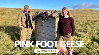 Shooting Pink Foot Geese in Scotland #fieldsports #gundog #gooseshooting #gameshooting