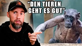 Den Tieren geht es gesundheitlich SEHR GUT??? Schimpansen im Zoo Magdeburg | Robert Marc Lehmann