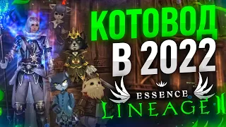 [Lineage 2 Essence] Гайд обзор Котовода 2022. Что изменилось и изменится ?