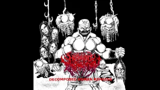 Humanoid Transmutation - Decomposed Human Remains FULL EP (2015 - Goregrind / Death Metal)