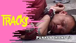 Punks à Chiens (1/3) 2007 - Tracks ARTE