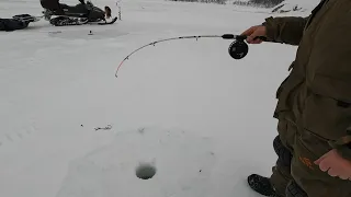 РЫБАЧИМ НА ЛЬДУ БАРЕНЦЕВА МОРЯ / ON THE ICE OF THE BARENTS SEA IN SEARCH OF FISH