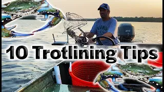 10 Trotline Crabbing Tips and Tricks: 3 BUSHELS by 8 AM! Chesapeake Bay Crabbing