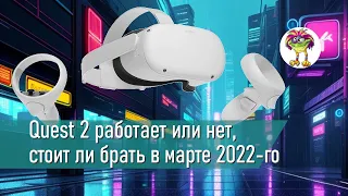 Quest 2 работает или нет, стоит ли брать в марте 2022-го