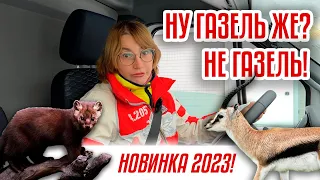 Тест-драйв новейшего фургона от ГАЗ! | Соболь NN обзор