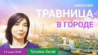 🌿Травница в городе! Эфир с Татьяной Хегай.