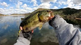 Shallow Bass fishing at Local Lakes!