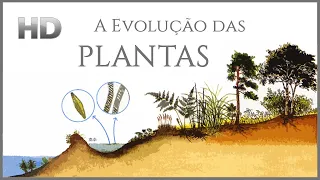 A Evolução das PLANTAS (Legendado)