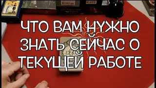 Таро расклад.🔔Ваша текущая работа  ✅Что важно знать/Расклад на Таро он-лайн