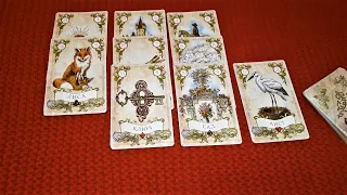 ЧТО С НИМ происходит сегодня?🌹 Таро онлайн. Upiter MagicCat Tarot.