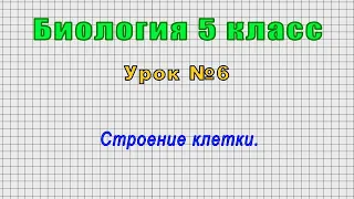 Биология 5 класс (Урок№6 - Строение клетки.)