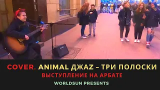 Animal ДжаZ – Три полоски. Cover. Кавер. Живое выступление на Арбате в Москве. Music. WorldSun