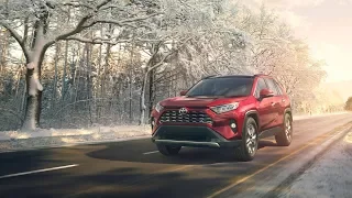 Новый Тойота РАВ 4 (Toyota RAV4) часов не наблюдает