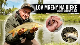 🎣Lov Mreny na rieke na SYR a DÁŽĎOVKY | Lov Na Feeder 2024/1 | Ako Chytám Ryby Ja #35