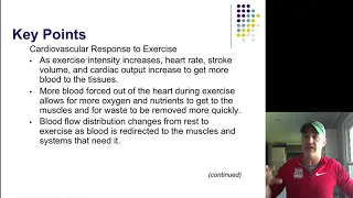 Acute exercise Cardiovascular changes