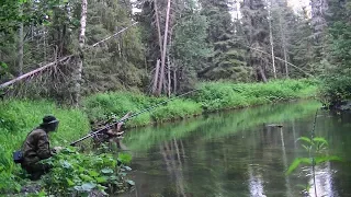 Рыбалка на таёжной речке #178