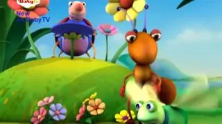 BabyTV   Big Bugs Band   New series    by BabyTV