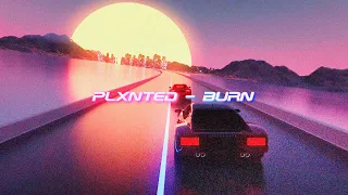 PLXNTED - BURN