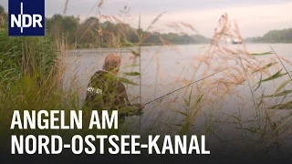 Angeln in SH: Die Hrubeschs am Nord-Ostsee-Kanal | NDR Doku