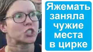 Яжемать занимает чужие места в цирке