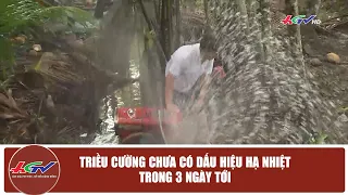 Triều cường chưa có dấu hiệu hạ nhiệt trong 3 ngày tới | Truyền hình Hậu Giang