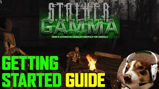 A Guide To Getting Started in Stalker G.A.M.M.A Mod Pack