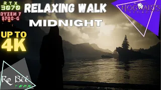 Hogwarts Legacy | Relaxing Walk | Music & Ambience | 30 minutes walk around Hogwarts  - MIDNIGHT