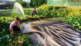 Modern fishing technology Use a large capacity pump Harvesting fish in the pond to sell