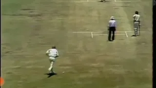 Tony Greig dangerous bowling